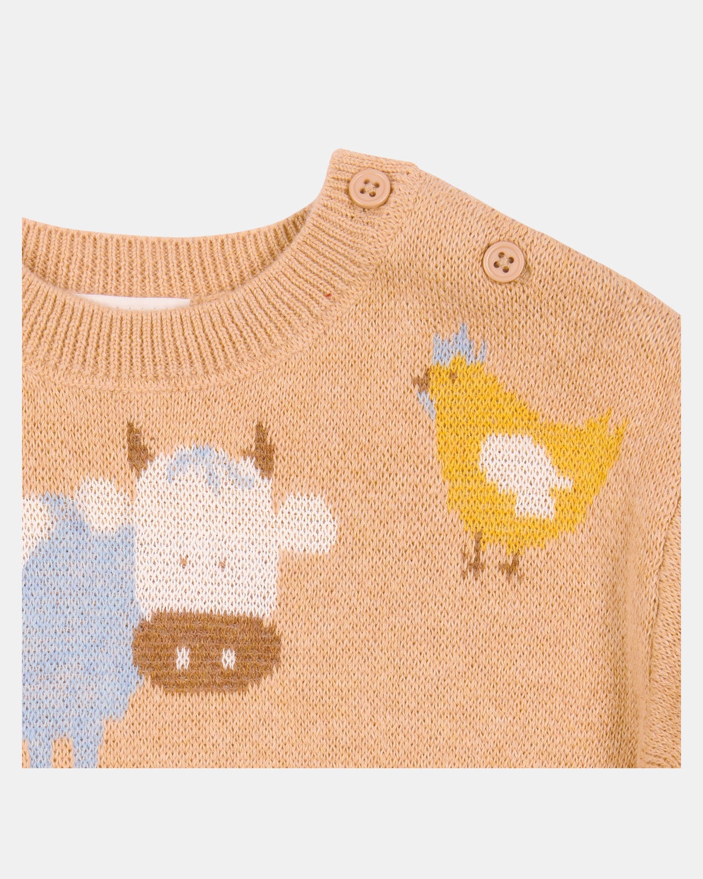 Toshi-Organic Pullover Mystical Farm Buddies