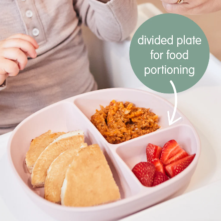 b.box-silicone plate + lid