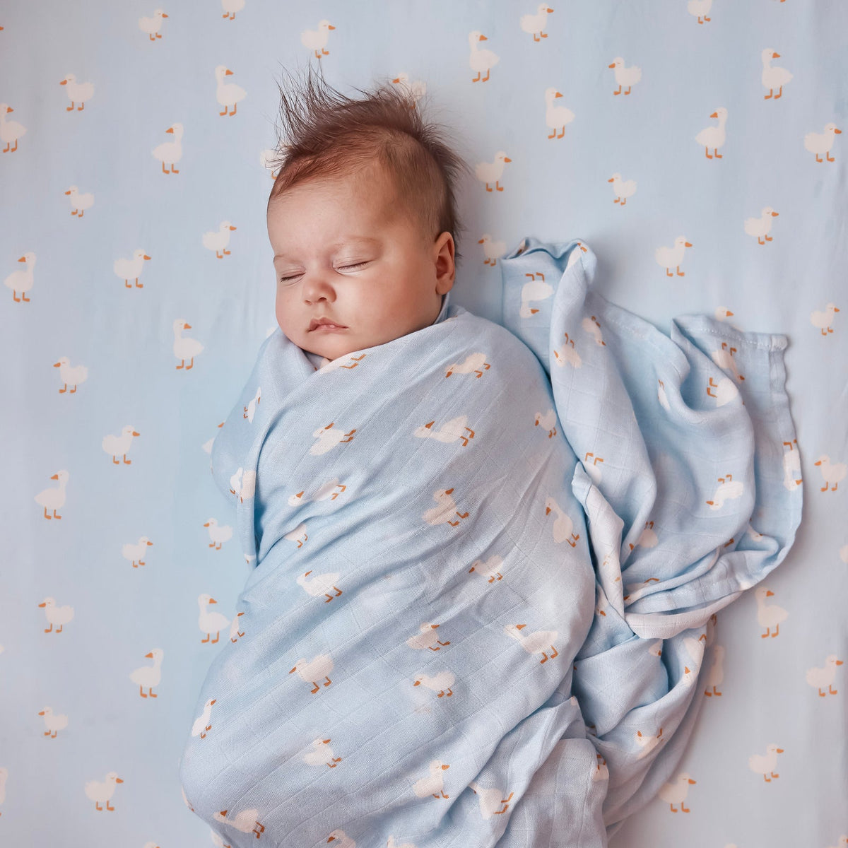 Fox&Fallow-Blue Ducks Organic Fitted Cot Sheet