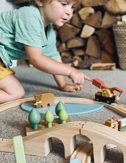 Tender Leaf Toys- Wild Pines Train Set