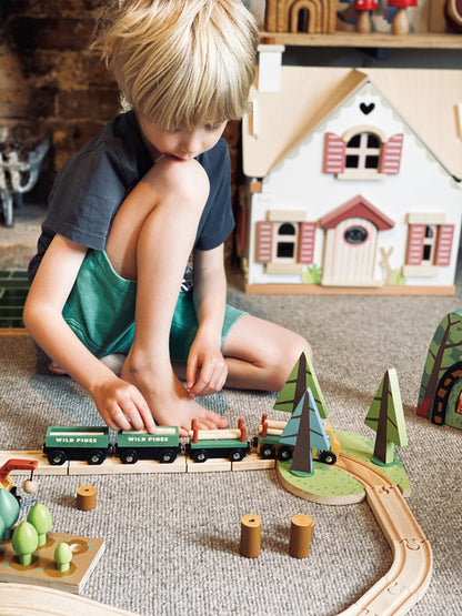 Tender Leaf Toys- Wild Pines Train Set