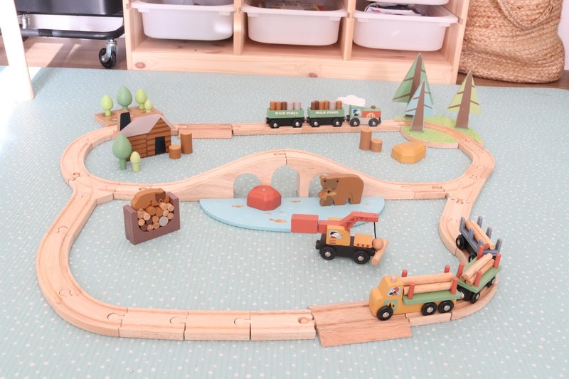 Tender Leaf Toys- Wild Pines Train Set