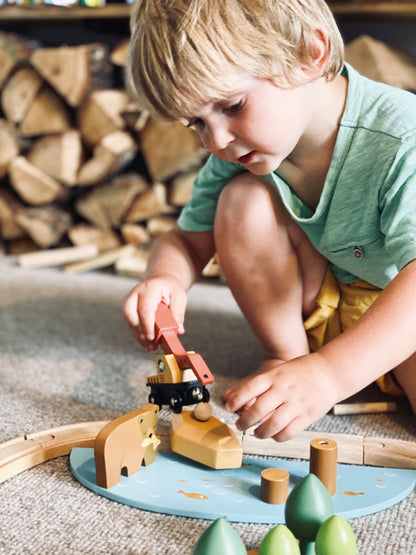 Tender Leaf Toys- Wild Pines Train Set
