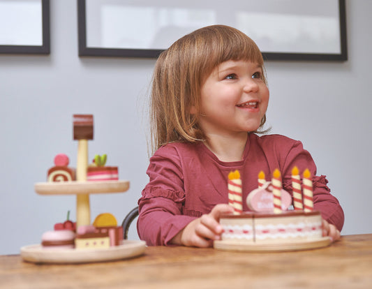 Tender Leaf Toys- Chocolate Birthday Cake