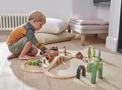 Tender Leaf Toys- Wild Pines Train Set