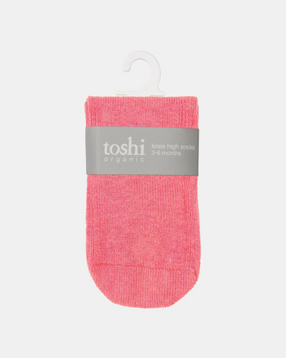 Toshi-Organic Socks Knee Dreamtime Fuschia