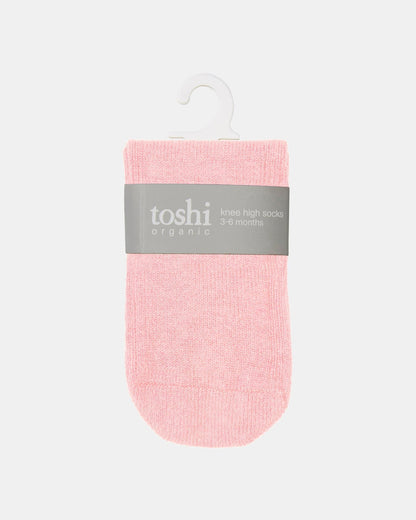 Toshi-Organic Socks Knee Dreamtime Pearl