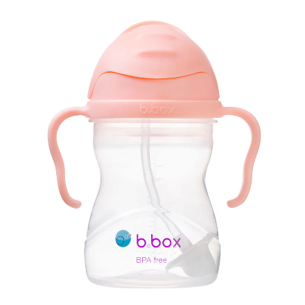 b.box-gelato sippy cup - tutti frutti