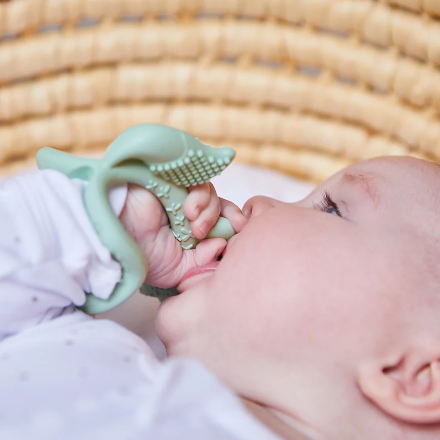 b.box-wrist teether - sage