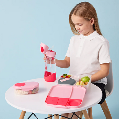 b.box-lunchbox - flamingo fizz