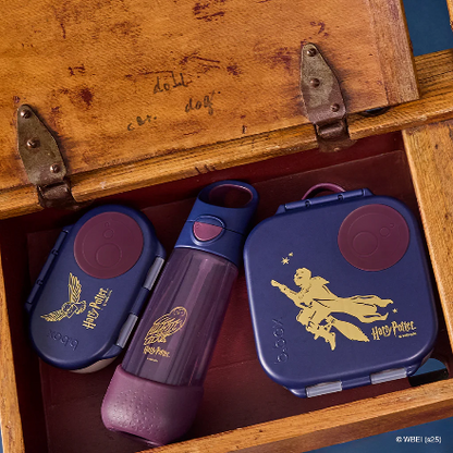 b.box-mini lunchbox-Harry Potter