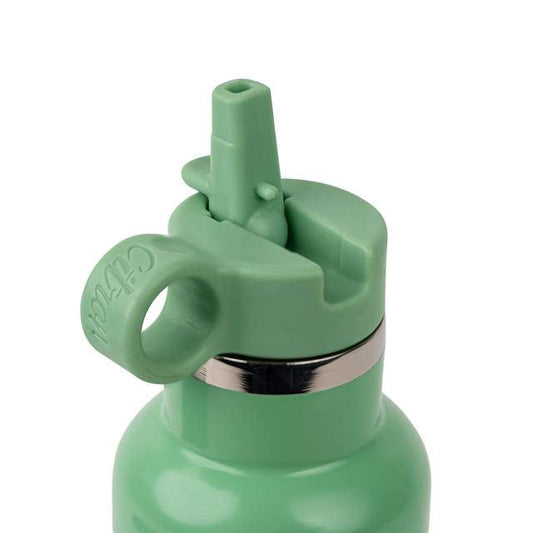 Citron-Little Big Water Bottle - QR-Enabled Lost-Proof 350ml - Green White Dino