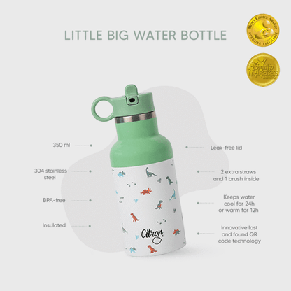 Citron-Little Big Water Bottle - QR-Enabled Lost-Proof 350ml - Green White Dino