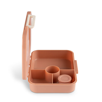 Citron-Incredible Tritan Lunch Box - 4 Compartments - Blush Pink