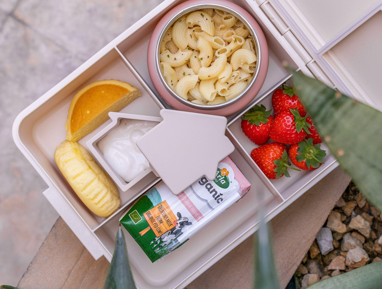 Citron-Grand Lunch Box - 4 Compartments - Ballerina + Food Jar