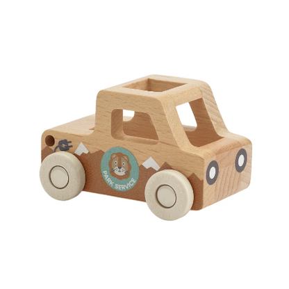 Moover -Mini Cars - Park Service
