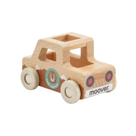 Moover -Mini Cars - Park Service