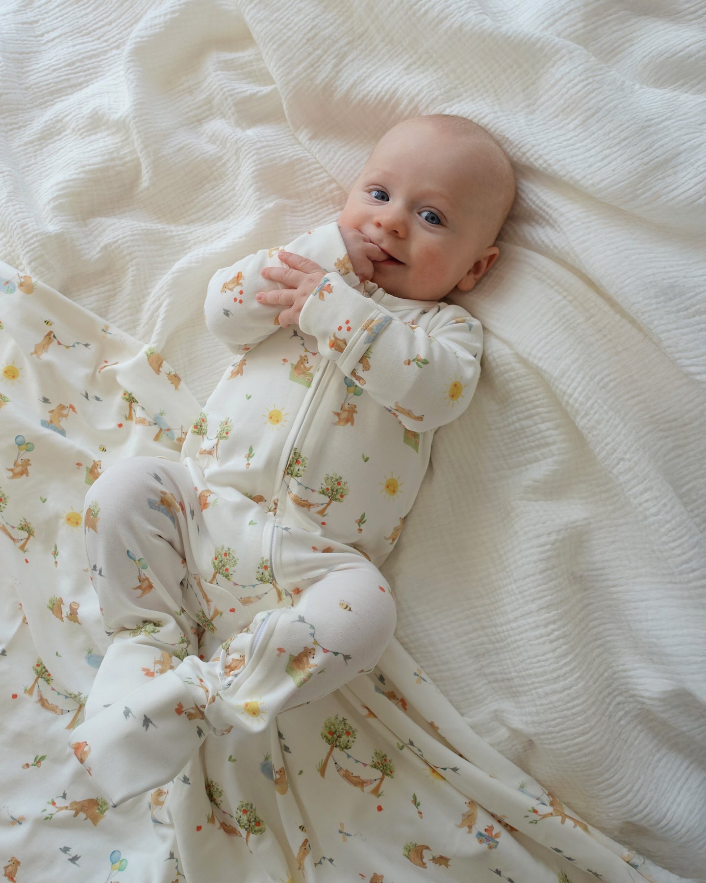 Bebe-BEAR ORGANIC LS ZIPSUIT